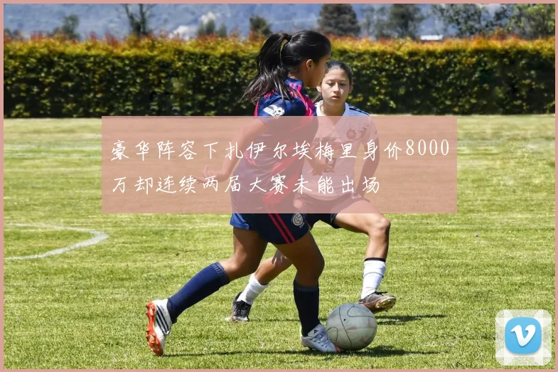 豪华阵容下扎伊尔埃梅里身价8000万却连续两届大赛未能出场